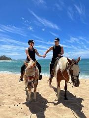 Updated - Hawaii Polo Trail Rides - Oahu: Private Sunshine Horseback Rides - Waialua