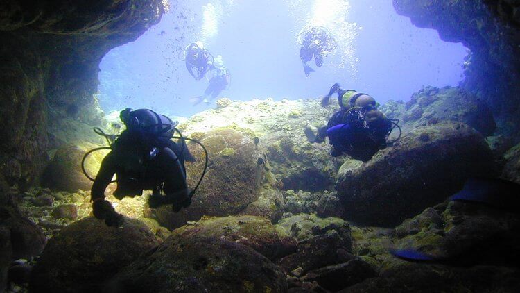 Manta Ray Dives of Hawaii - Kona Diving EcoAdventures - Big Island: SCUBA Diving EcoAdventure