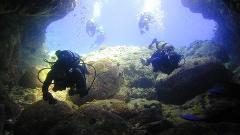 Manta Ray Dives of Hawaii - Kona Diving EcoAdventures - Big Island: SCUBA Diving EcoAdventure