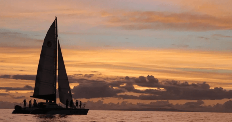 Updated - Sail Maui - Maui: Paragon Lahaina Sunset Sail - Lahaina Harbor