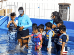 Sea Life Park - Sea Life Park: Dolphin Splash