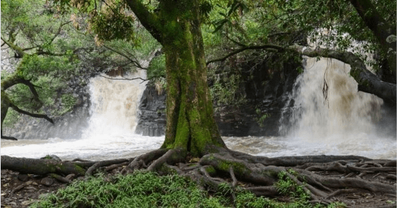 Updated - Hike Maui - Maui: Afternoon Waterfall Walk