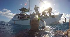 Updated - Oahu Catamarans - Oahu: Snorkel Cruise - Waikiki