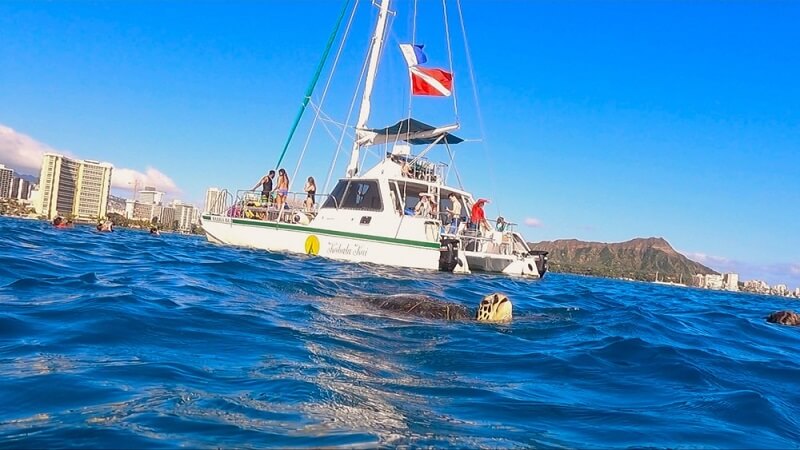 Updated - Oahu Catamarans - Oahu: Snorkel with Turtles - Waikiki