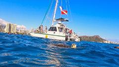 Updated - Oahu Catamarans - Oahu: Snorkel with Turtles - Waikiki