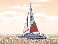 Updated - Hawaii Nautical - Big Island: Spirit of Aloha Catamaran Sunset Sail - A-Bay