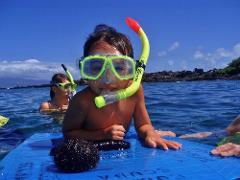 Tiny Bubbles Scuba - Maui: Guided Beach Snorkel Tour - West Maui