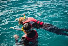 Waikiki Marine Sports - Turtle Snorkeling Cruise (Snorkeling Only)