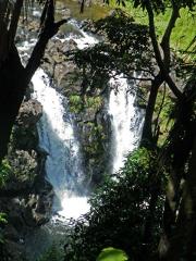Umauma Falls & ZipLine Experience - Big Island: Tour Umauma Falls & Gardens - Hakalau