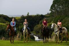 Updated - Wailea Horseback Adventure - Big Island: 2.5 hour Wailea Horseback Adventure Waterfall Swim & Trail Ride