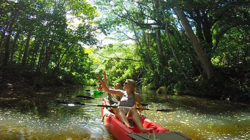 Outfitters Kauai - Kauai: Wailua Waterfall Kayak Tour