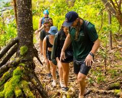 Updated - Hike Maui - Maui: Waterfall & Rainforest Hiking Adventure - Private Group