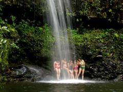 Piiholo Ranch Zipline - Maui: 4-Line Zip and Waterfall Hike Combo