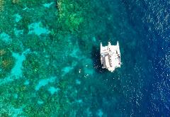 Sea Paradise - Big Island: Afternoon Sail & Snorkel Tour