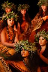 Polynesian Adventure Tours - Kauai: Waimea Canyon Tour & GOLD Luau Kalamaku Combo Package (with Waimea Canyon Transportation Only)
