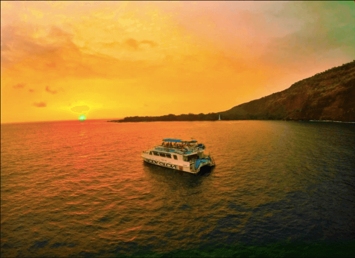 Body Glove Cruises - Big Island: Captain Cook Dinner Cruise to Kealakekua Bay