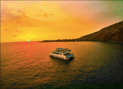 Body Glove Cruises - Big Island: Captain Cook Dinner Cruise to Kealakekua Bay