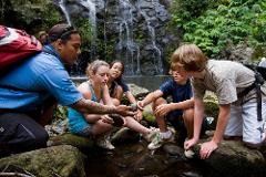 Updated - Hawaii Forest & Trail - Big Island: Kohala Waterfalls Adventure - Kona