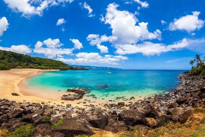 Updated - Aloha Sunshine Tours - Big Island to Oahu: Oahu Grand Circle Island, Dole Plantation, and Macadamia Farms Tour (13H)