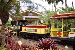 The Pineapple Bus - Dole Plantation and North Shore
