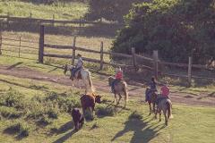 Updated -  Gunstock Ranch - Oahu: 1 Hour Horsemanship Experience - North Shore