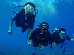 Tiny Bubbles Scuba - Maui: 3 Dive Package (Certified Diver) - West Maui