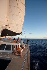 Hawaii Nautical - WORK IN PROGRESS - Private Charter from Waikiki (Special from 2:30PM to 4:30PM)
