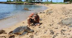 Updated - Hawaii Turtle Tours - Oahu: Turtle Eco Adventure 