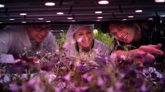 Farm Tour & Tasting With Prosecco & Gift