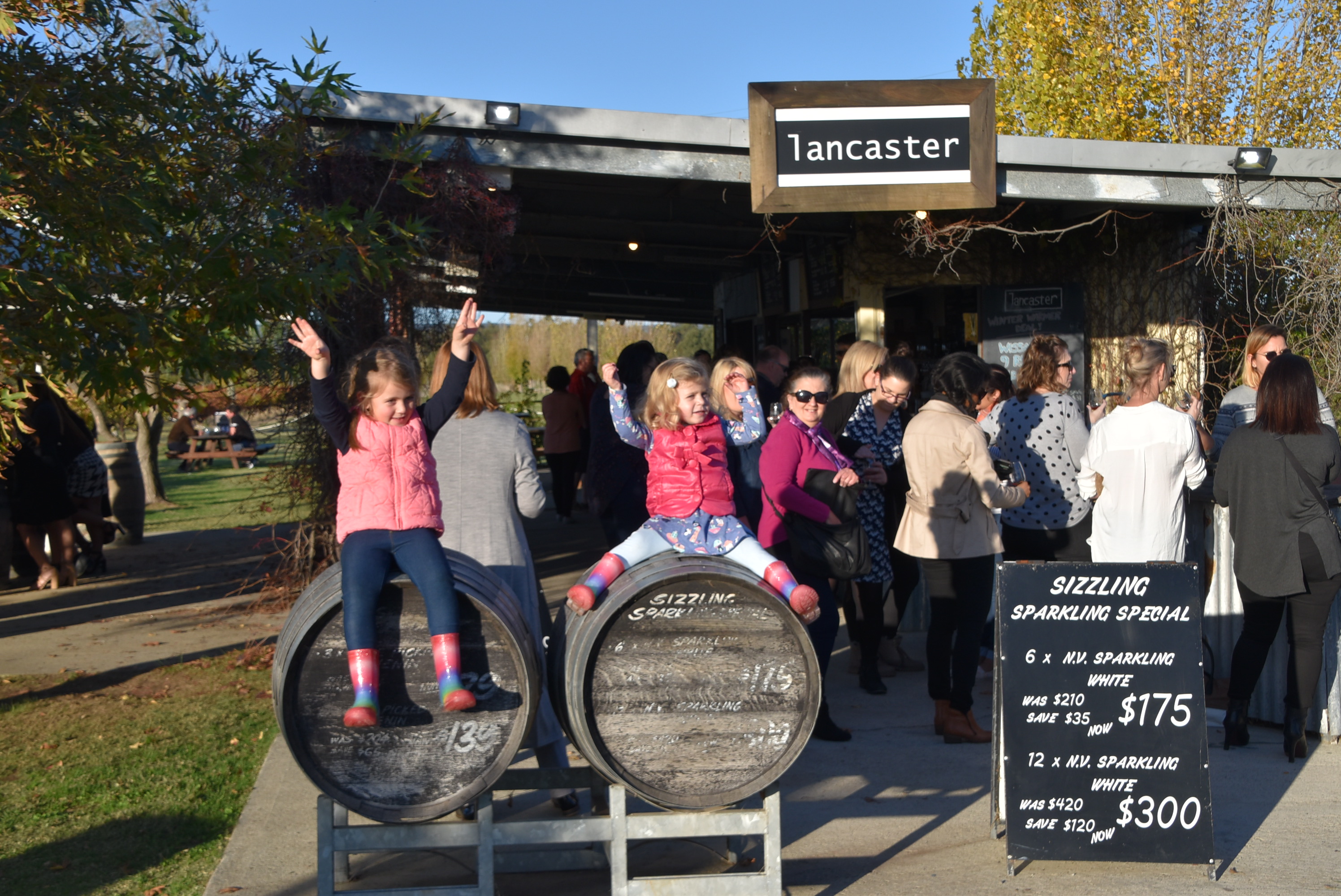 Group Booking - Wagon Deluxe - Horse Drawn Wagon Tour