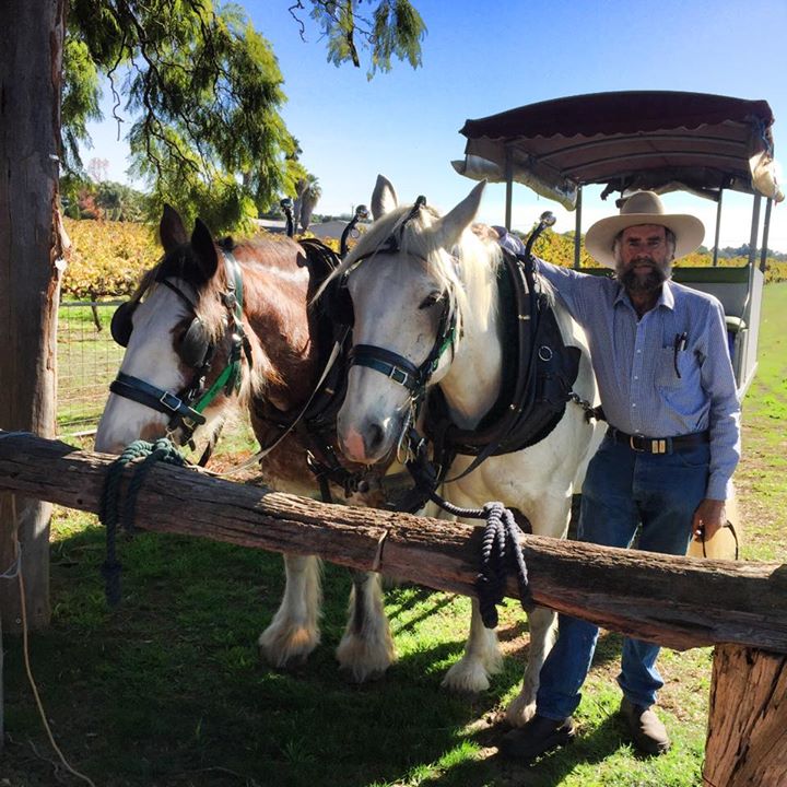Group Booking - Wagon Deluxe - Horse Drawn Wagon Tour