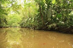 Tortuguero National Park Adventure 3D/2N