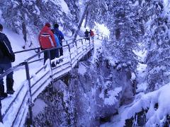 Canadian Rockies Adventure 10D/9N (winter)