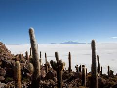 Uyuni Salt Flats Full Day Tour