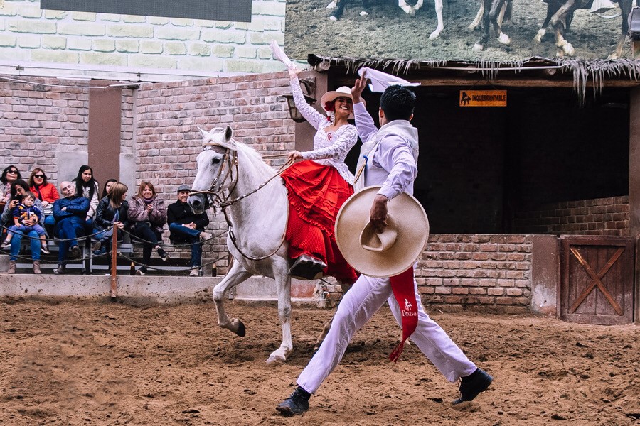 Peruvian Paso Horse Exhibition