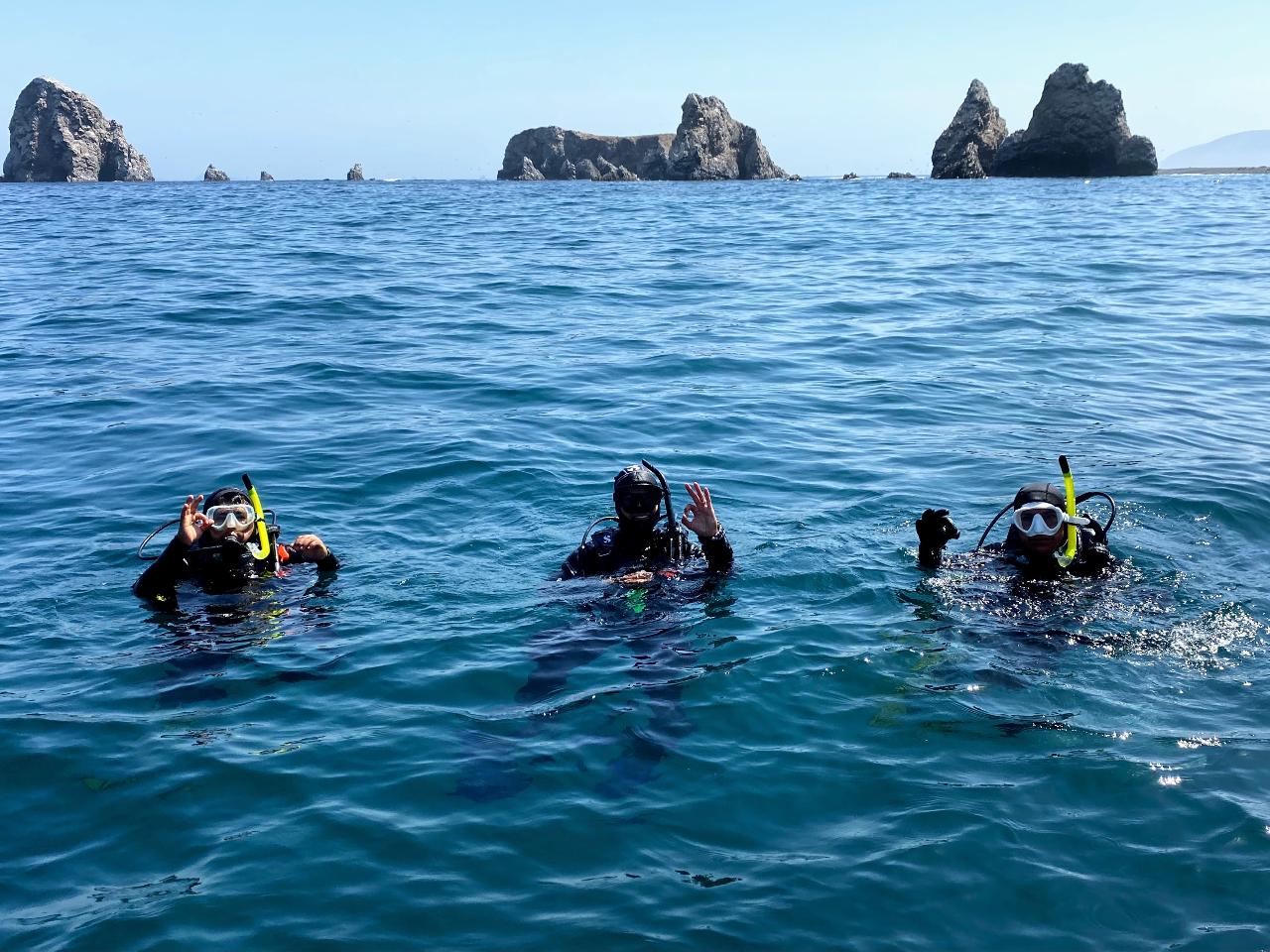 Snorkeling with Sea Lions