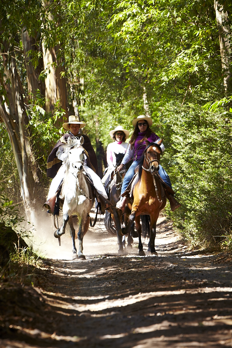 Horseback Riding 