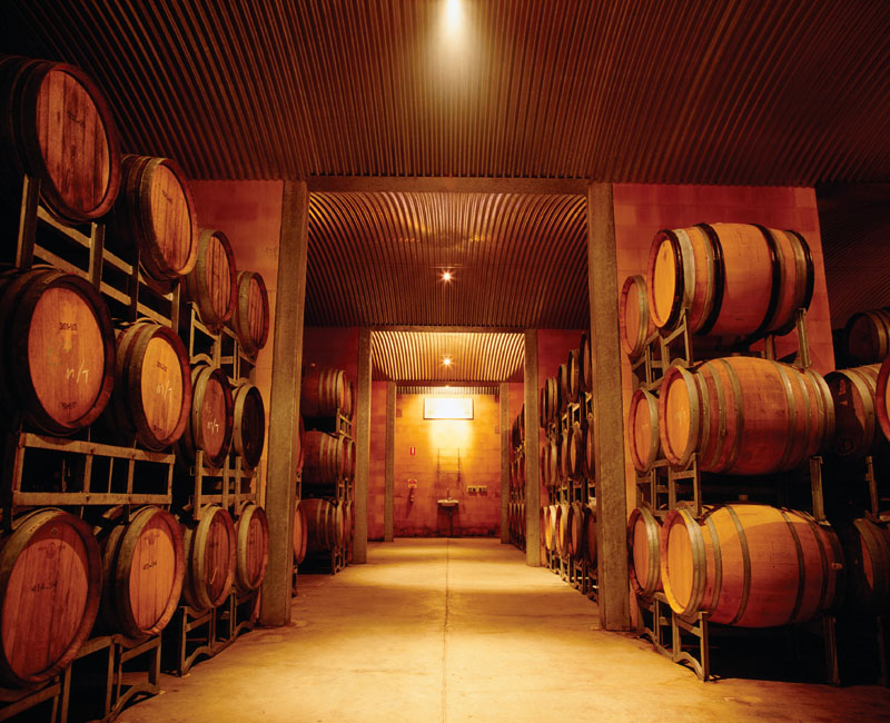 Tastes and Wines Tour