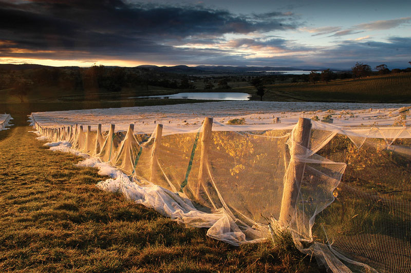 Tastes and Wines Tour