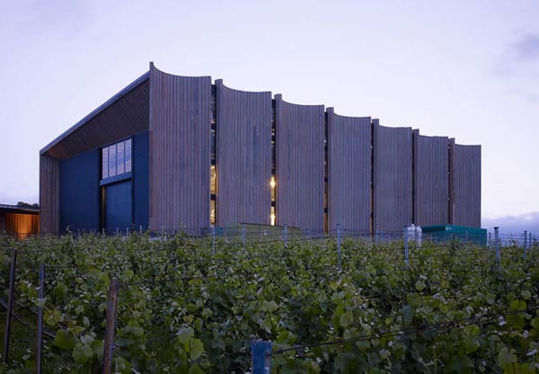 Tastes and Wines Tour