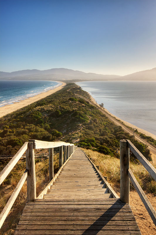 Bruny Island Indulgence Tour