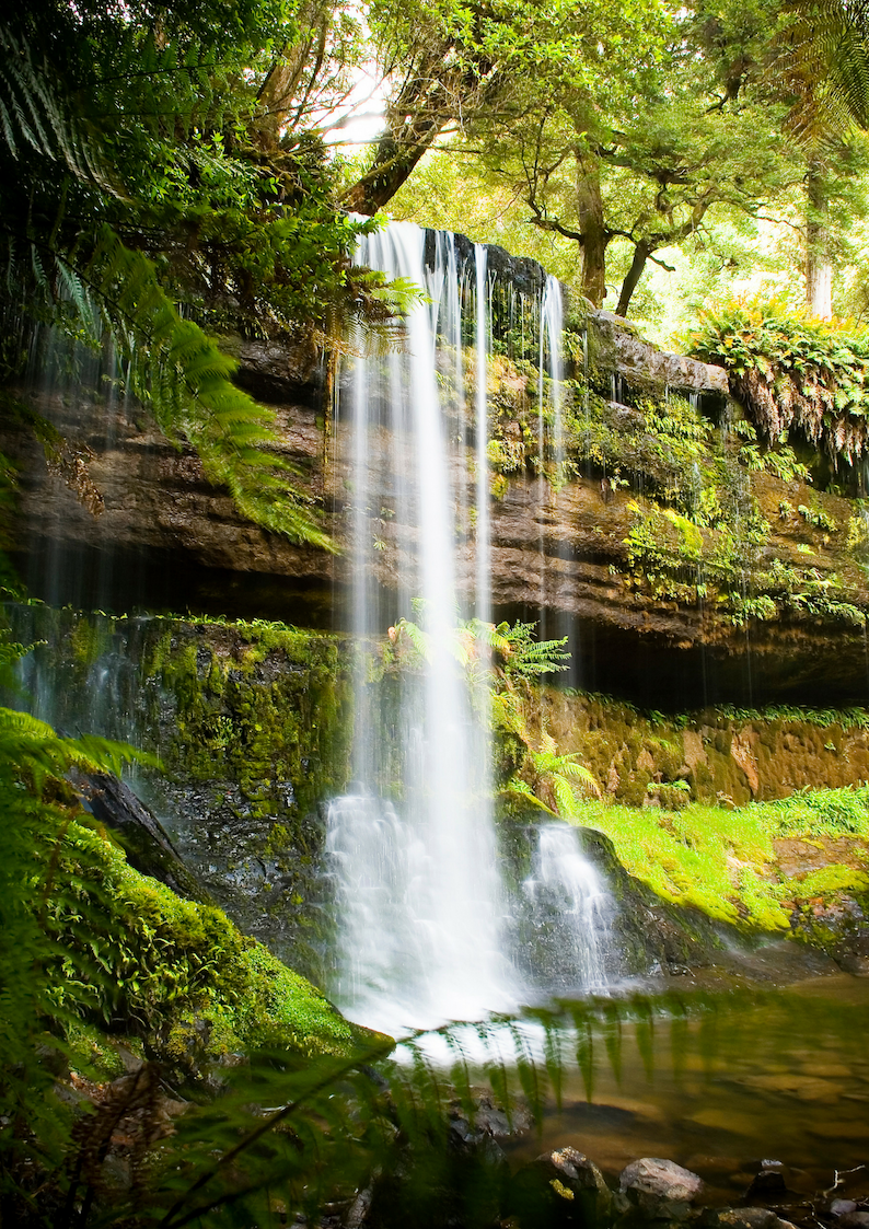 Mt Field and Bonorong Wildlife Sanctuary