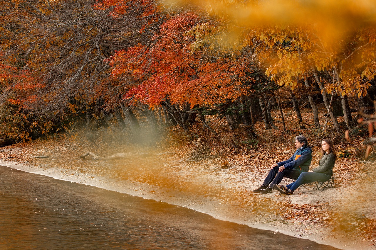 Embrace Nature in the Center of sacred Place Nikko