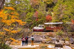 Experience the Craftsmanship of the Oroku Comb born in Kiso In an autumn forest, three people stand by a stream and photograph a vintage train as it travels along a track.