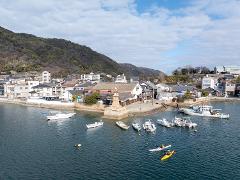 Aerial view of a coastal town with boats docked in the water, two kayakers paddling, and houses nestled along the shoreline beneath a tree-covered hill.