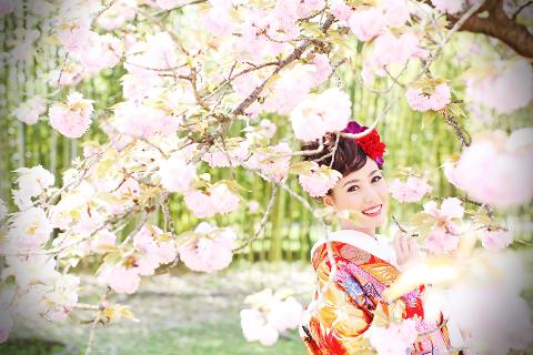 A smiling woman in a traditional kimono poses amongst blooming cherry blossoms.