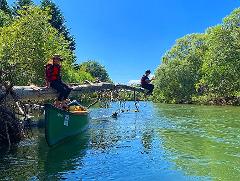 Deux personnes portant des gilets de sauvetage sont assises sur un arbre tombé au-dessus d&#39;une rivière, avec un canoë vert à proximité, entouré d&#39;une verdure luxuriante sous un ciel bleu clair.