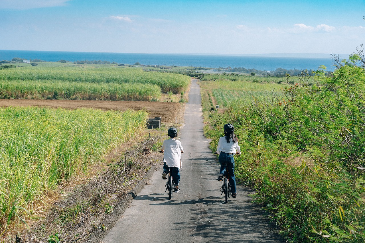 discover-amami-oshima-island-s-natural-heritage-with-an-electric