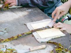 People are preparing seaweed on a wooden table.
