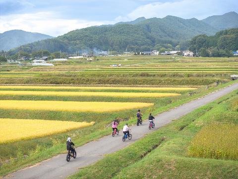 Nagano Tateshina Morning E-Bike Tour: Scenic Nature Trails Ride Tourists on electric bikes cycle along a path with terraced rice fields in the background under a cloudy sky.